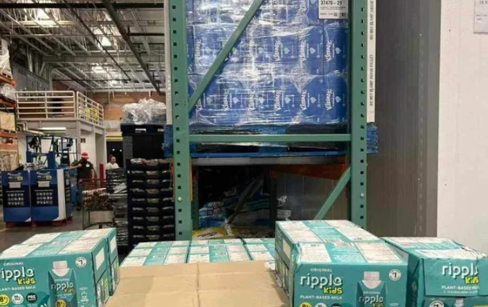 Ripple-Kids-Plant-based-Milk-Cartons-1840158-Bloomfield Township, MI