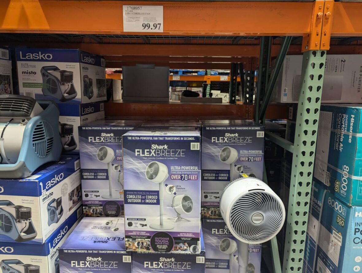 Shark-2-in-1-Cordless-Fan-1768957-Danville, CA