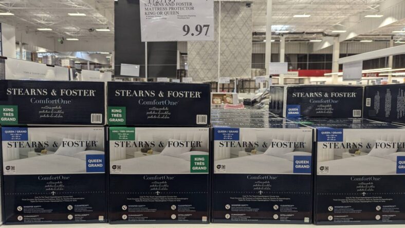 Stearns- and- Foster -Mattress -Protector -or -Queen-1727193-Tracy, CA