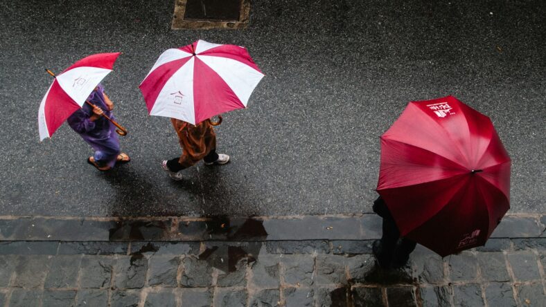people walking with umbrellas