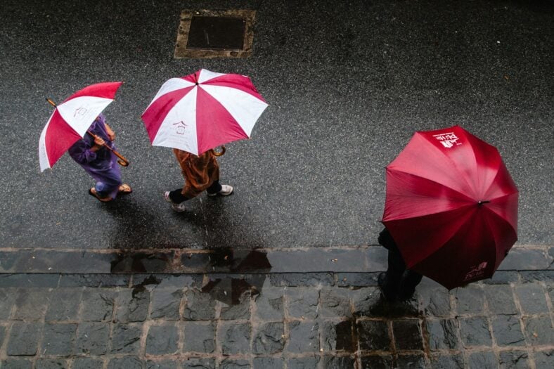 people walking with umbrellas