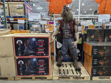 7'-Animated-Werewolf-with-Light-and-Sound-1785013-Concord, CA