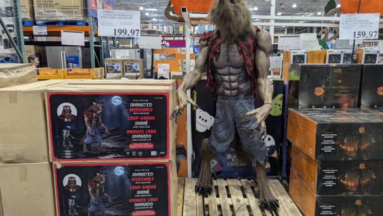 7'-Animated-Werewolf-with-Light-and-Sound-1785013-Concord, CA