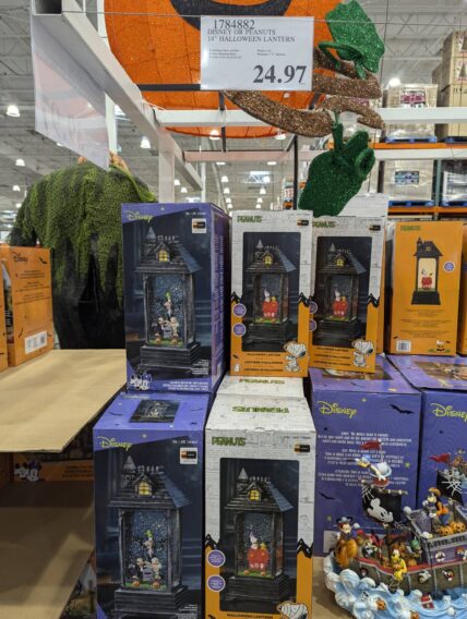 Disney-OR-Peanuts-14-Halloween-Lantern-1784882-Concord, CA