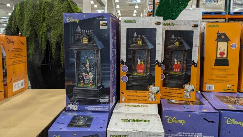 Disney-OR-Peanuts-14-Halloween-Lantern-1784882-Concord, CA