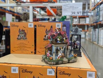 Disney-Party-House-with-Lights-and-Music-1784923-Concord, CA