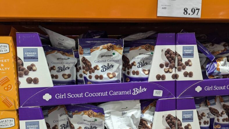 Girl-Scout-Coconut-Caramel-Bites-20oz-1767272-Livermore, CA