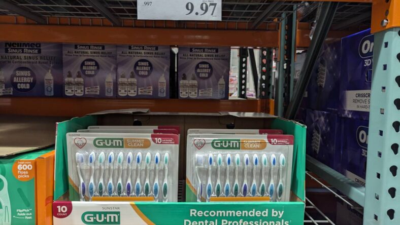 Gum-Summit-Clean-Toothbrush-10ct-1748813-Danville, CA