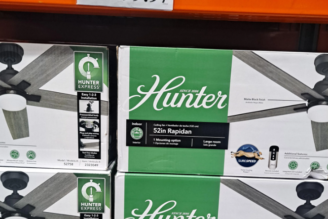 Hunter-Fan-52-Express-Ceiling-Fan-2323049-San Francisco, CA