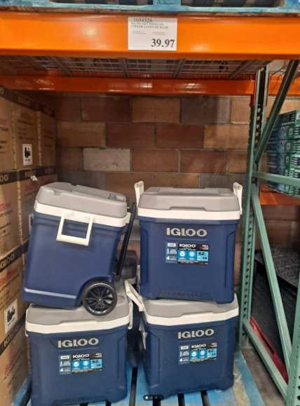 Igloo-62QT-Wheeled-Cooler-Latitude-1654526-Salinas, CA