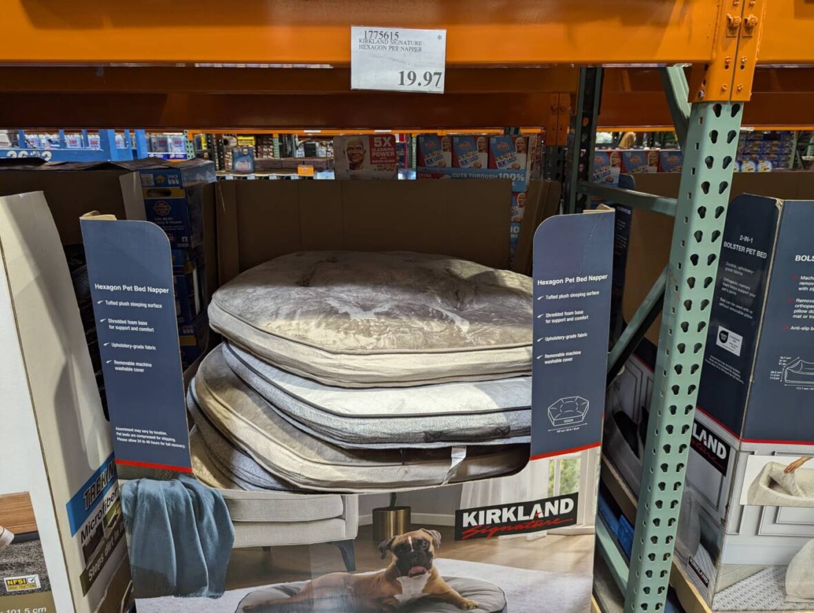 Kirkland-Signature-Hexagon-Pet-Napper-1775615-Livermore, CA