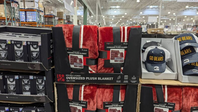 LOGO-Brands-60X70-Blanket-1810226-Danville, CA