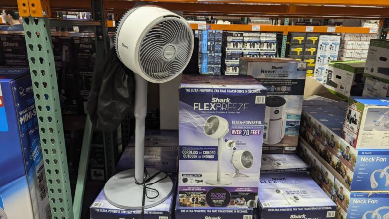 Shark-2-in-1-Cordless-Fan-1768957-Concord, CA
