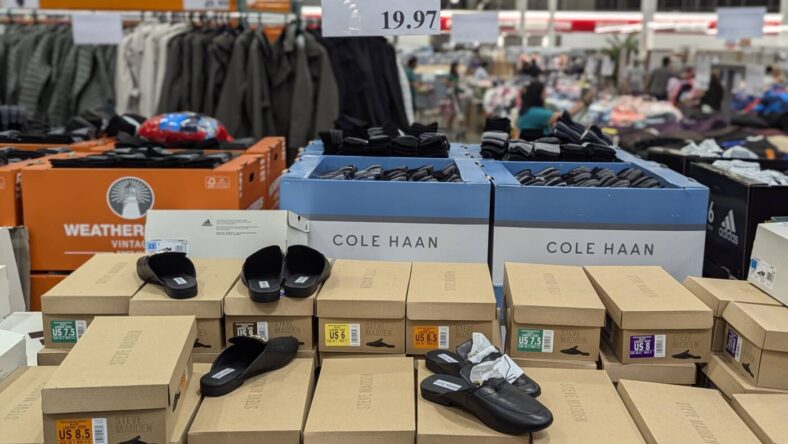 Steve-Madden-Ladies'-Leather-Mule-1773169-Livermore, CA