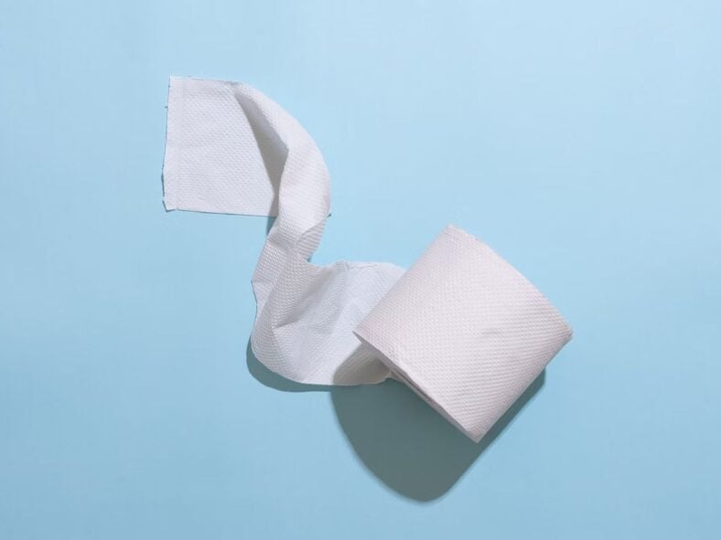 Toilet Paper Unsplash