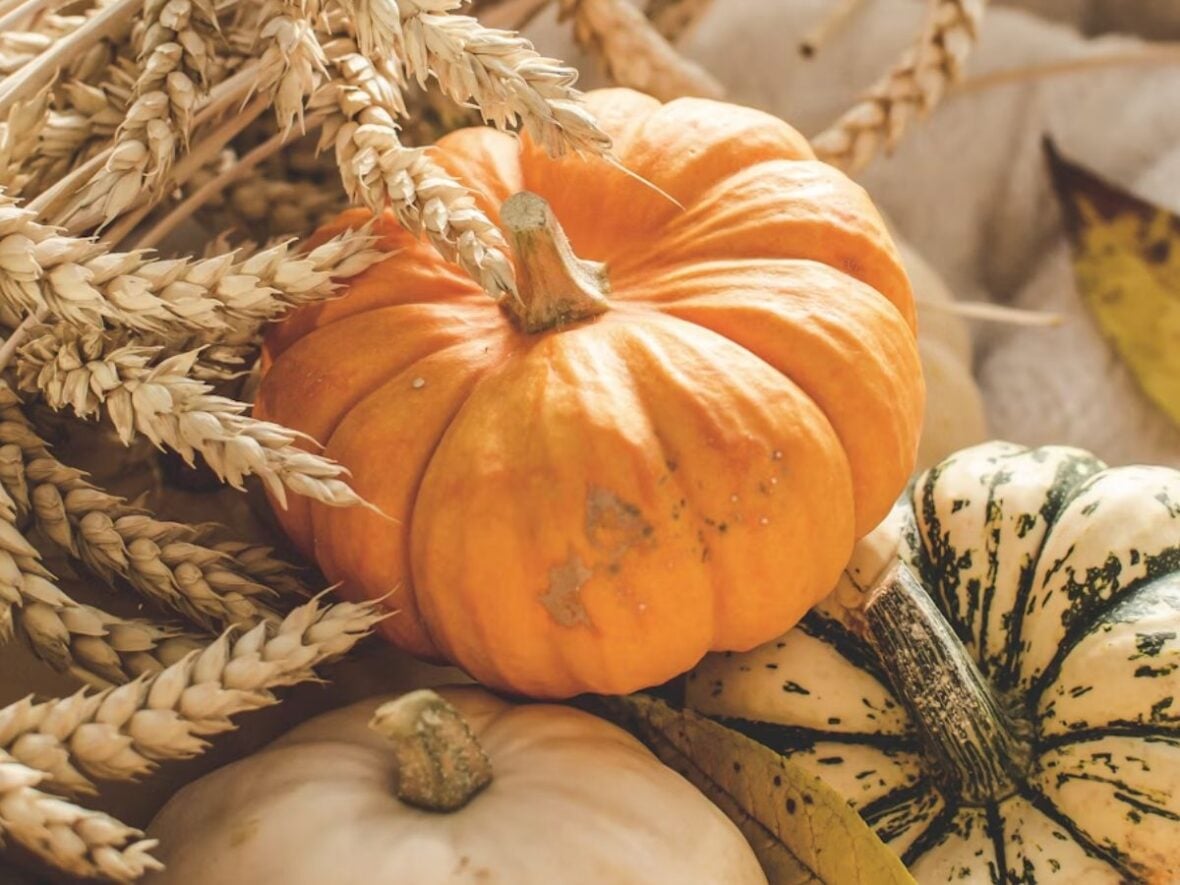Unsplash Best Fall Finds at Costco
