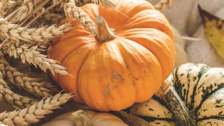 Unsplash Best Fall Finds at Costco