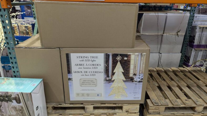 7'-String-Tree-with-LED-Lights-1739857-Livermore, CA