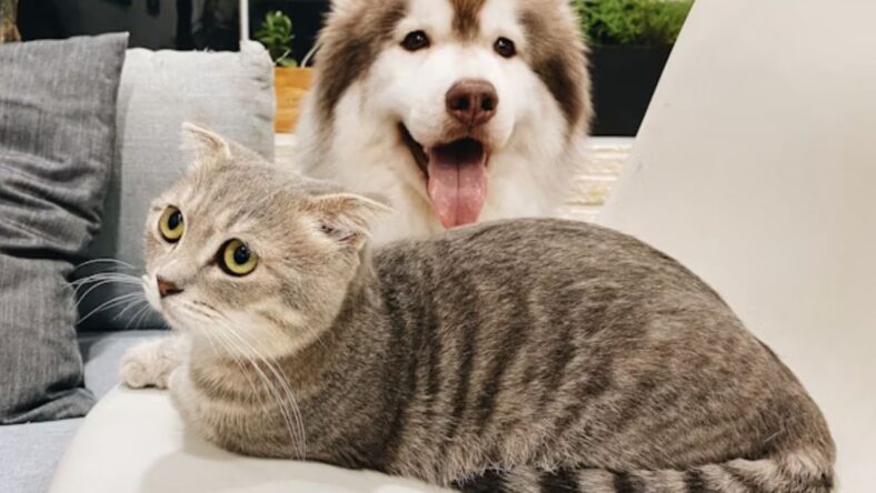 Costco Services Unsplash