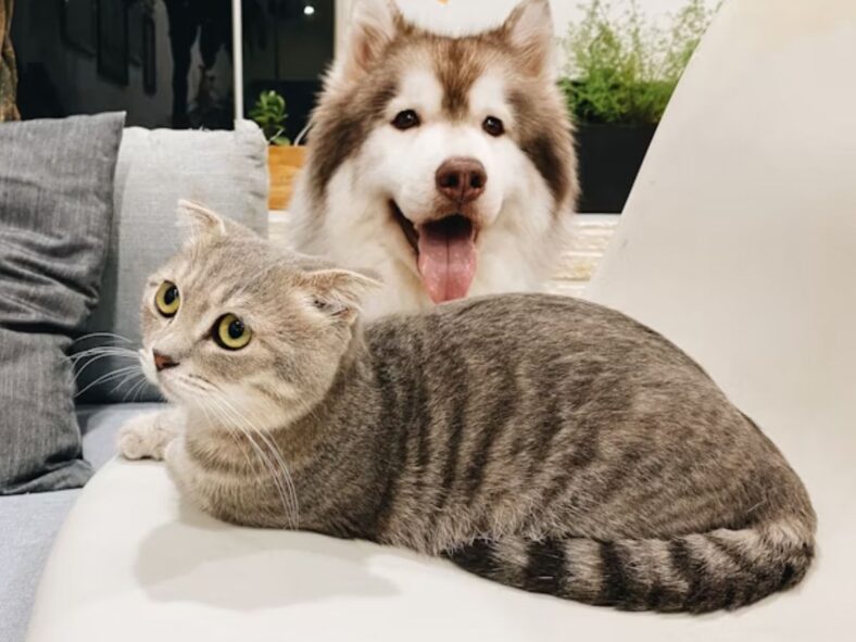 Costco Services Unsplash