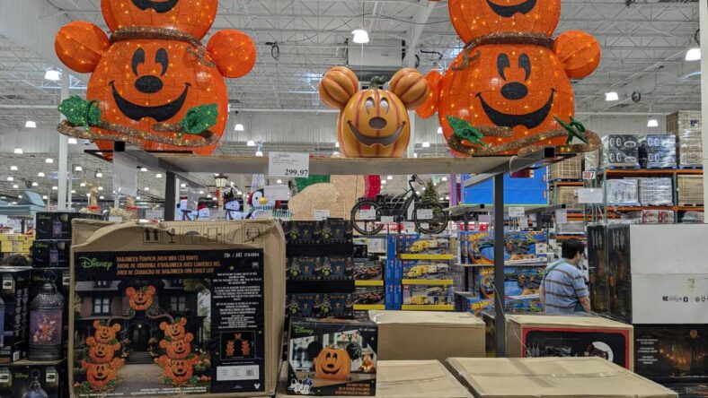 Disney-9'-Halloween-Arch-with-LED-Lights-1784904-Livermore, CA