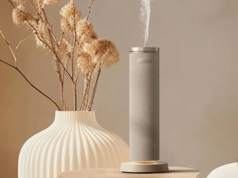 Homedics Diffuser, Costco