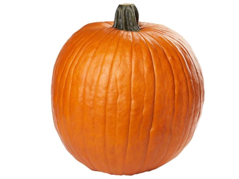 Jumbo Pumpkin Costco