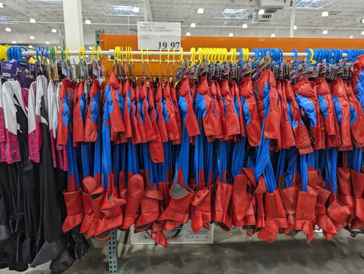 Marvel-Licensed-Costume-Assortment-1601275-Livermore, CA