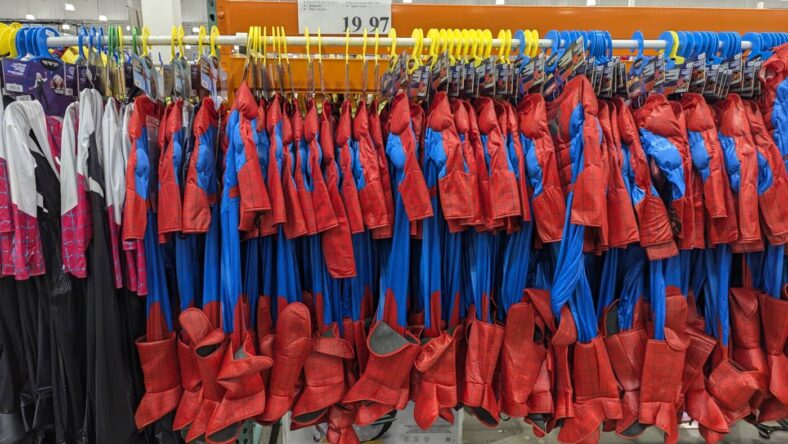 Marvel-Licensed-Costume-Assortment-1601275-Livermore, CA