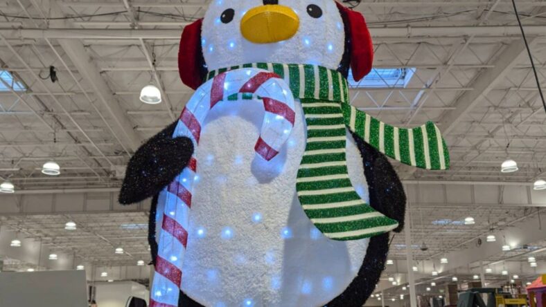 Penguin Decor, Costco97