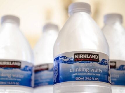 Worst Kirkland Products, Flickr
