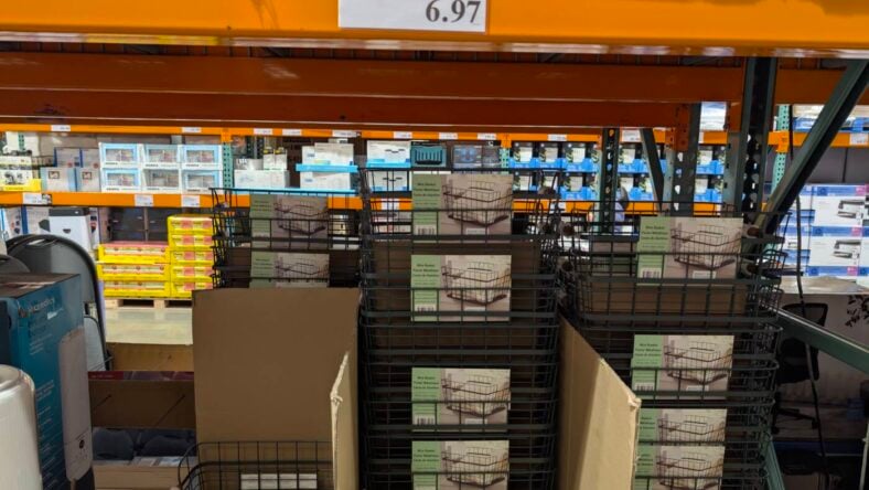 Baum Baxter Basket Wood Wire FY24-1759365-Livermore, CA (2)
