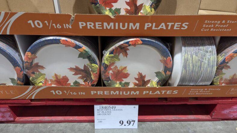 Beautiful Leaves 10 Plates 100ct-1840549-Danville, CA