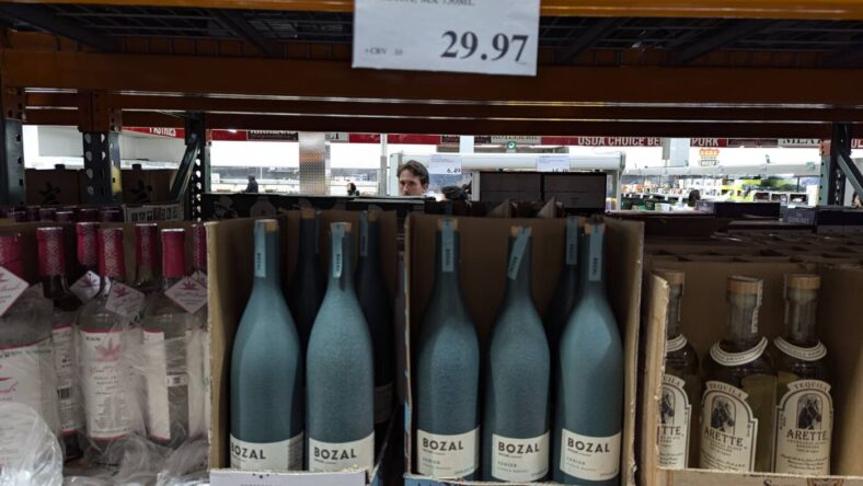 Bozal Mezcal Centzo Oaxaca, MX 750ml-1807026-Danville, CA