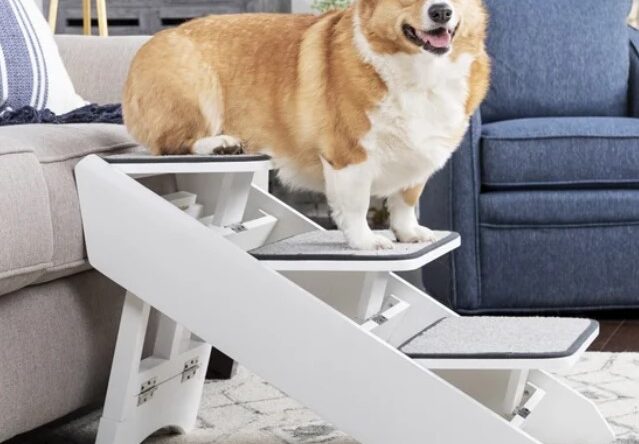 CozyPet PetSafe, Costco