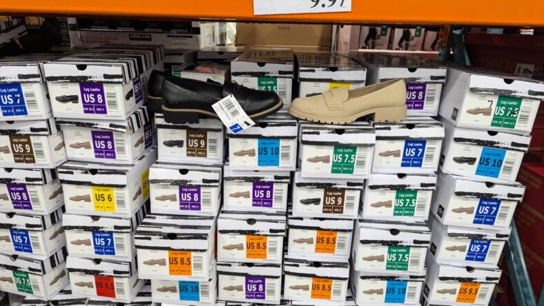 DV-by-Dolce-Vita-Ladies-Lug-Loafer-1773171