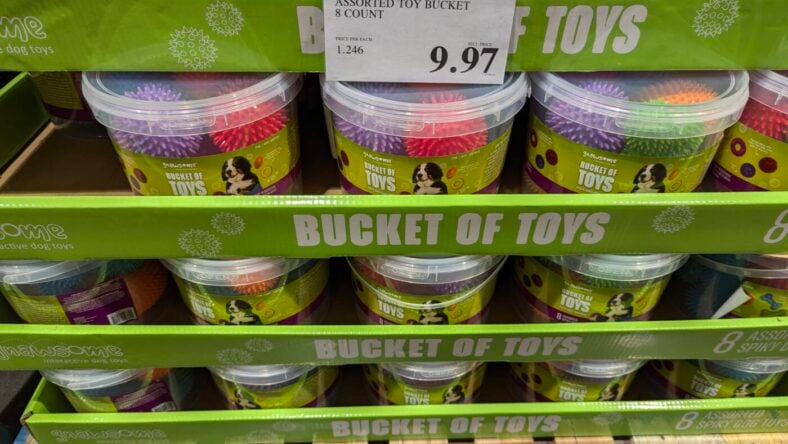 Gnawsome Assorted Toy Bucket 8ct-1857619-Livermore, CA