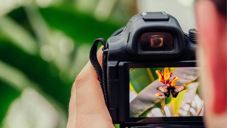 Photo Costco Benefits, Unsplash