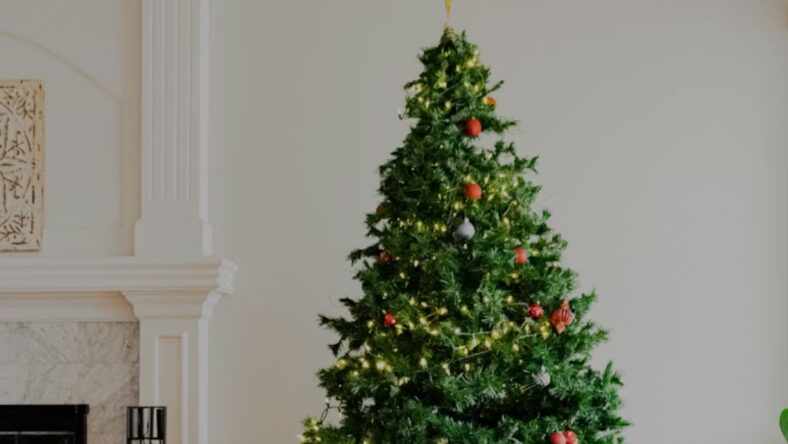 Seasonal Items Unsplash