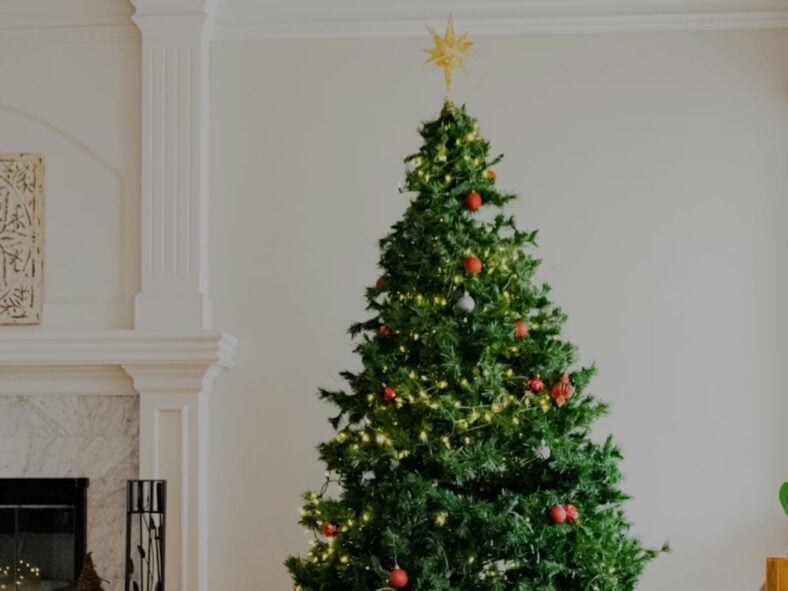 Seasonal Items Unsplash