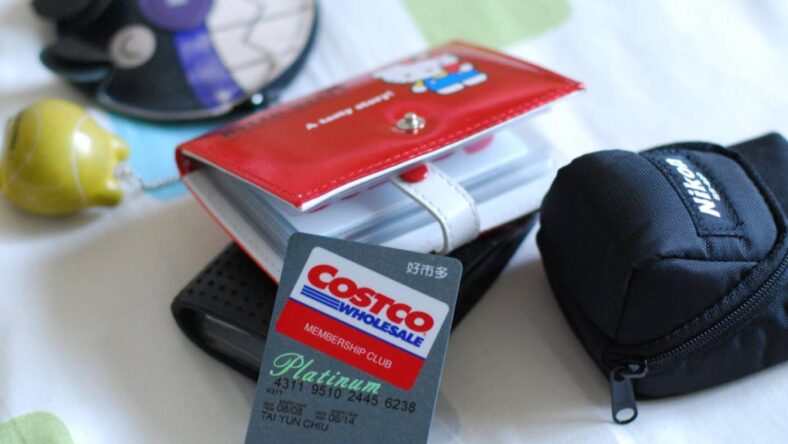 Visa Costco Benefits, Google Images