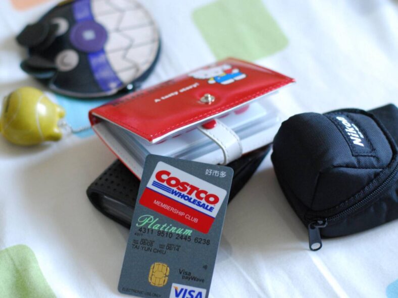 Visa Costco Benefits, Google Images