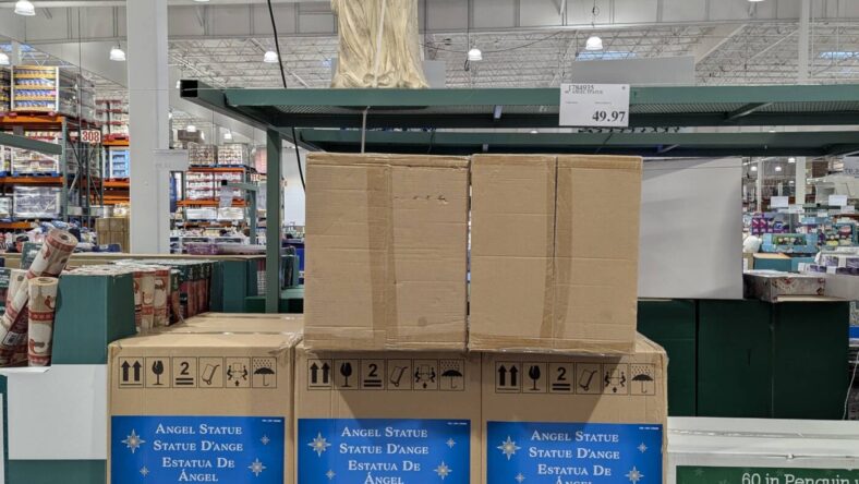 46 Angel Statue-1784935-Danville, CA