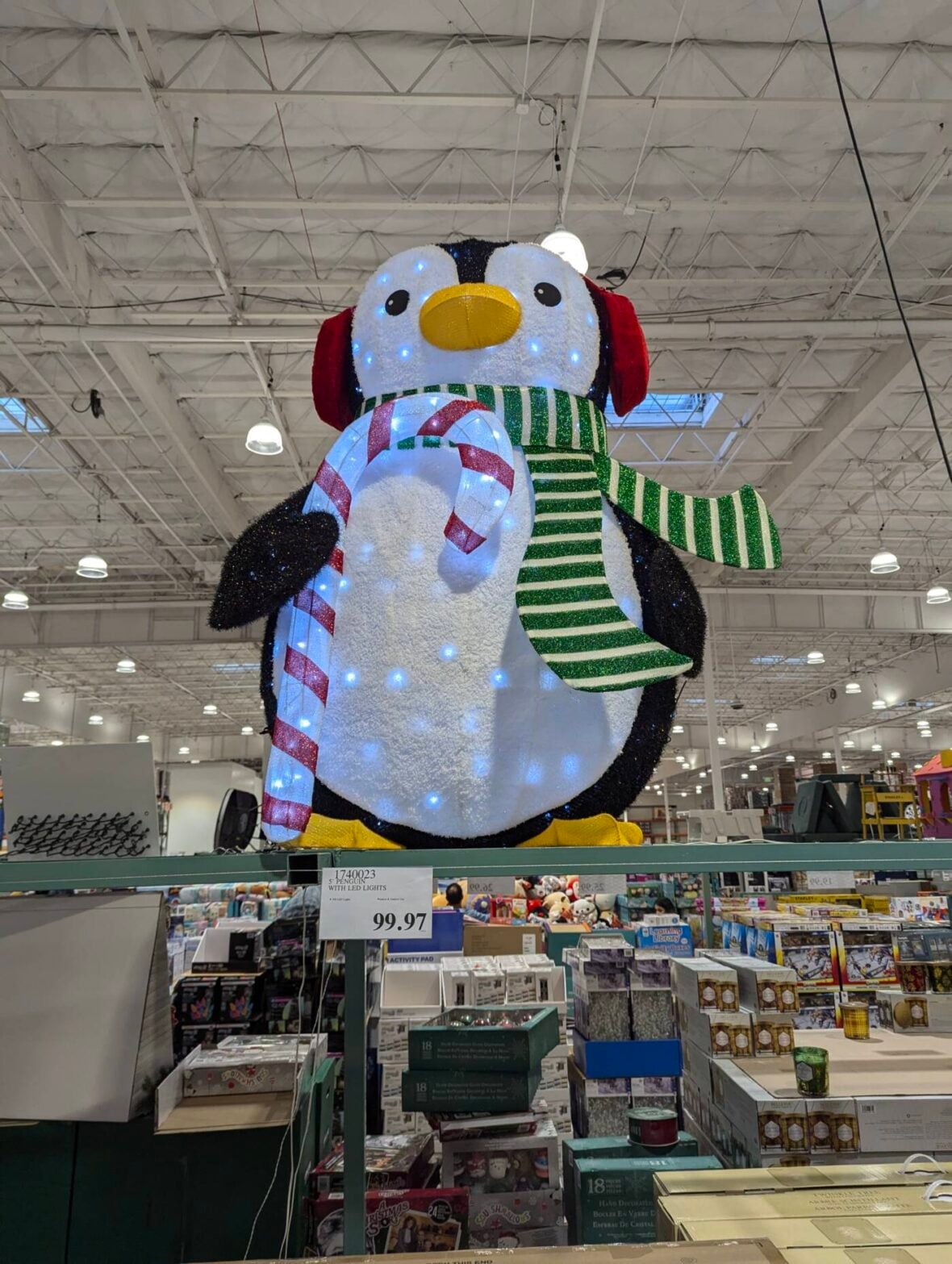 5' Penguin with LED Lights-1740023-Danville, CA