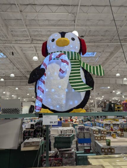 5' Penguin with LED Lights-1740023-Danville, CA
