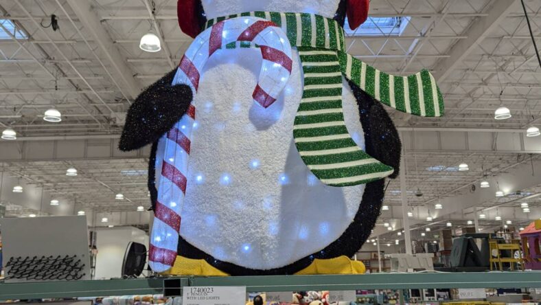 5' Penguin with LED Lights-1740023-Danville, CA