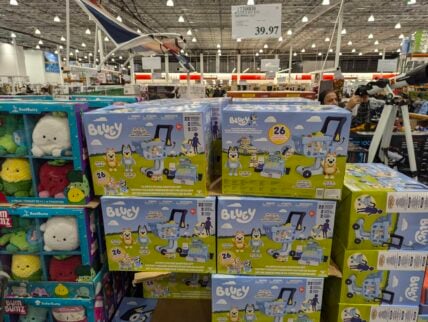 Bluey's My Size Shopping Set -1739909-Pleasanton, CA