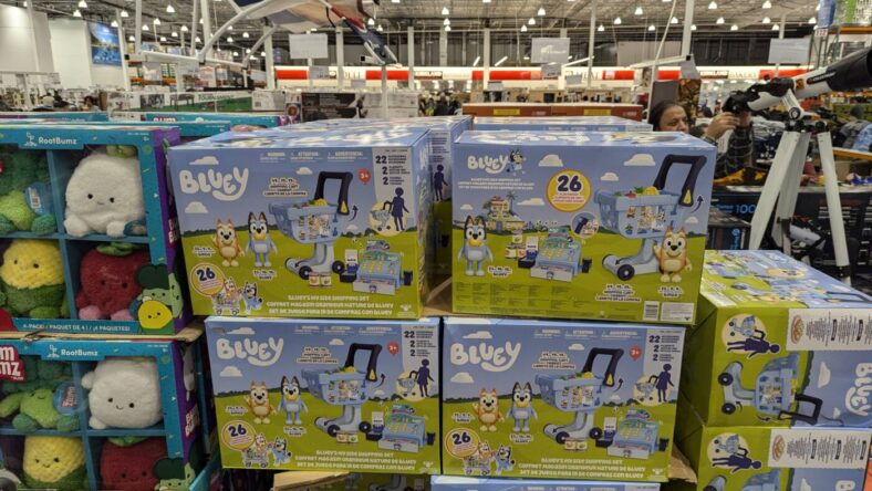 Bluey's My Size Shopping Set -1739909-Pleasanton, CA