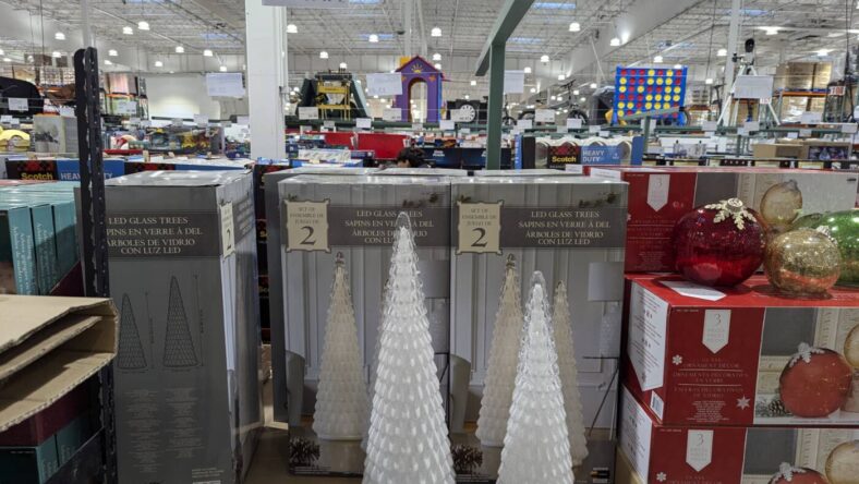Holiday Glass Trees Set of 2-1487010-Danville, CA