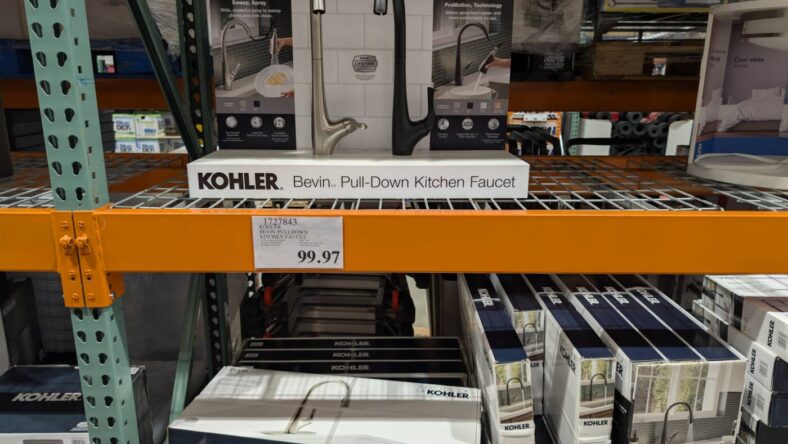 Kohler Bevin Pulldown Kitchen Faucet-1727843-Livermore, CA